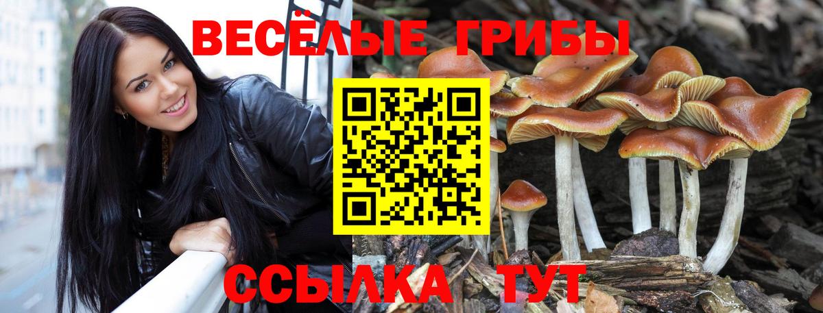 Псилоцибиновые грибы прущие грибы  Вход с VPN  дарнет шоп  Псилоцибиновые грибы ЛСД  Нефтеюганск 